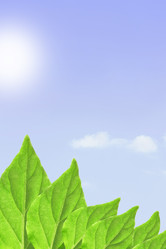 Similar image 504519