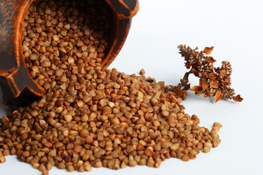 Similar image 504554