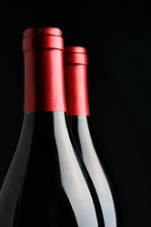 Similar image 504559