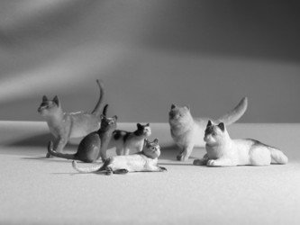 Similar image 504577