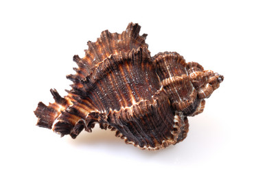 Similar image 504600