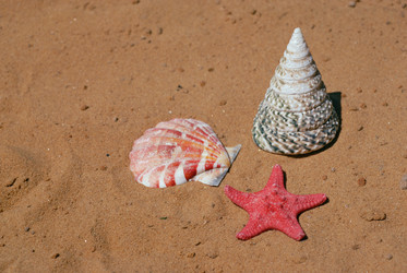 Similar image 504626