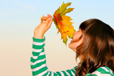 Similar image 504631