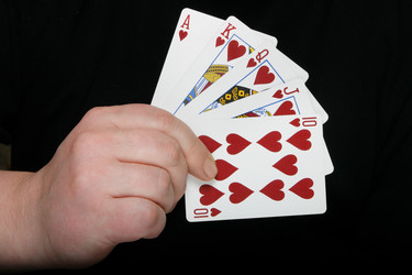 Similar image 504683