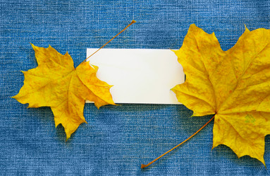 Similar image 504705