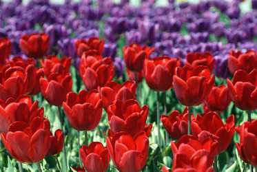 Similar image 504710