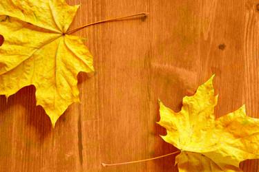 Similar image 504724