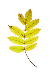 Similar image 504732