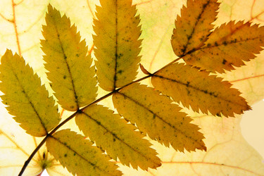 Similar image 504735