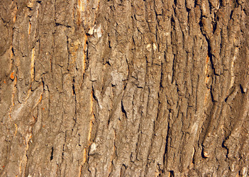 Similar image 504771