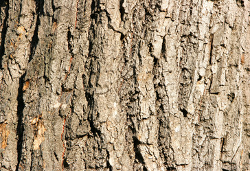 Similar image 504772