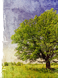 Similar image 504773