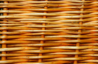 Similar image 504784