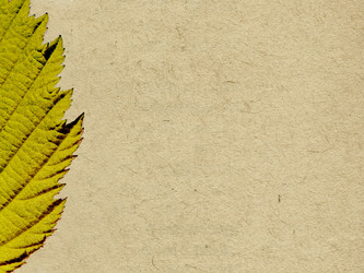 Similar image 504787