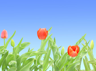 Similar image 504790