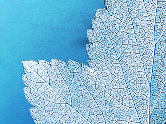 Similar image 504793