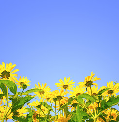 Similar image 504797