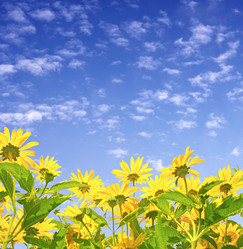 Similar image 504801