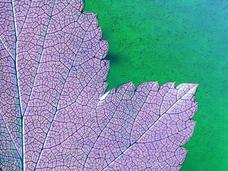 Similar image 504802