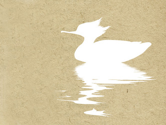 Similar image 504829