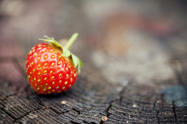 Similar image 504850