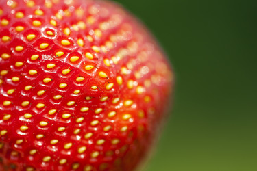 Similar image 504851