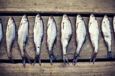 Similar image 504865