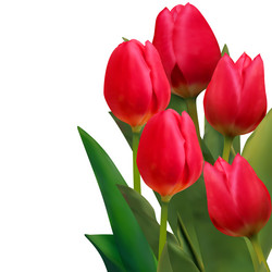 Similar image 504890