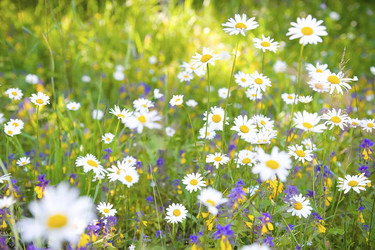 Similar image 504898