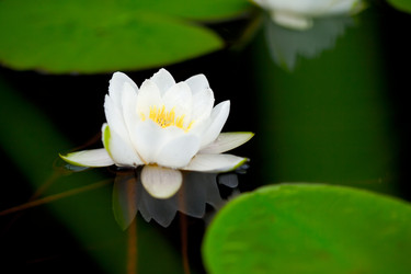 Similar image 504905