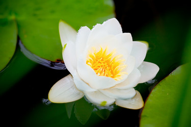 Similar image 504906