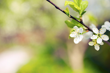 Similar image 504917