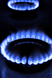 Similar image 504957