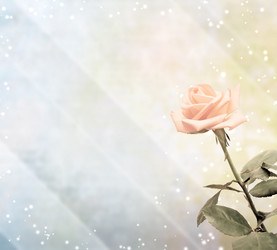 Similar image 504963