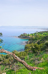 Similar image 504967