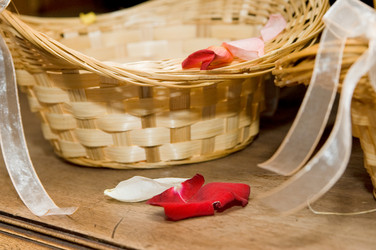 Similar image 504969