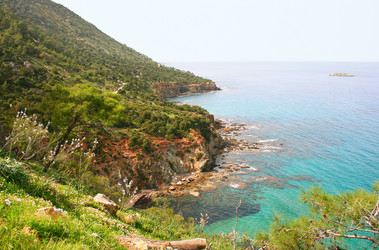 Similar image 504970