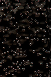 Similar image 505002