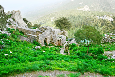 Similar image 505032