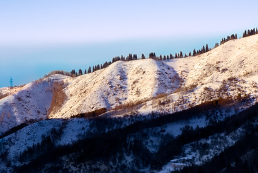 Similar image 505038