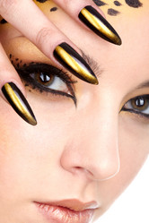 Similar image 505042