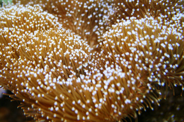 Similar image 505114