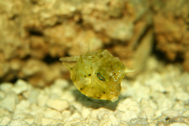 Similar image 505116