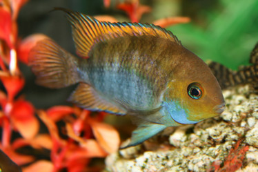 Similar image 505117