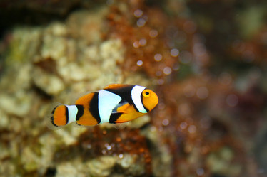 Similar image 505120