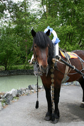 Similar image 505145