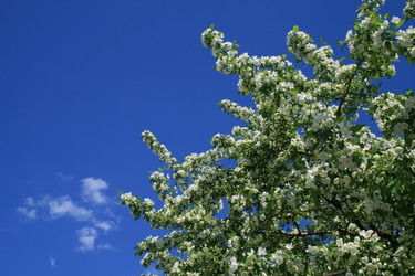 Similar image 505148