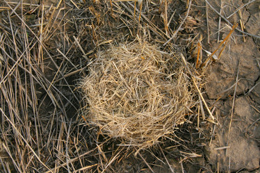 Similar image 505158