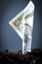 Similar image 505185