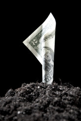 Similar image 505188